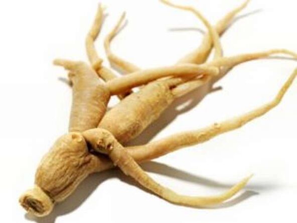 Raiz de ginseng