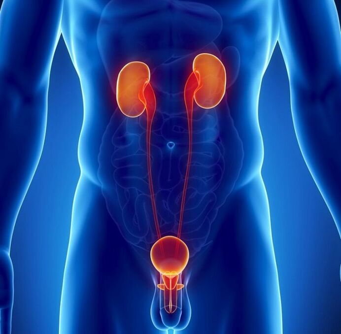 quais doenças crônicas podem afetar a potência masculina